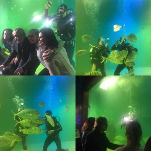 V akvariu ???????? #mirozbirka #muzikalatlantida #krst #krest #fish #akvarium